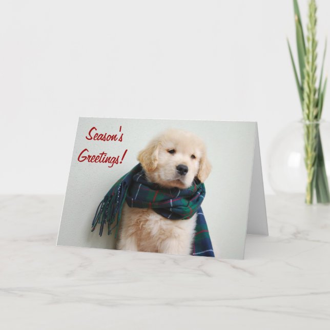 Tarjeta del día de fiesta de los saludos de la (Anverso)