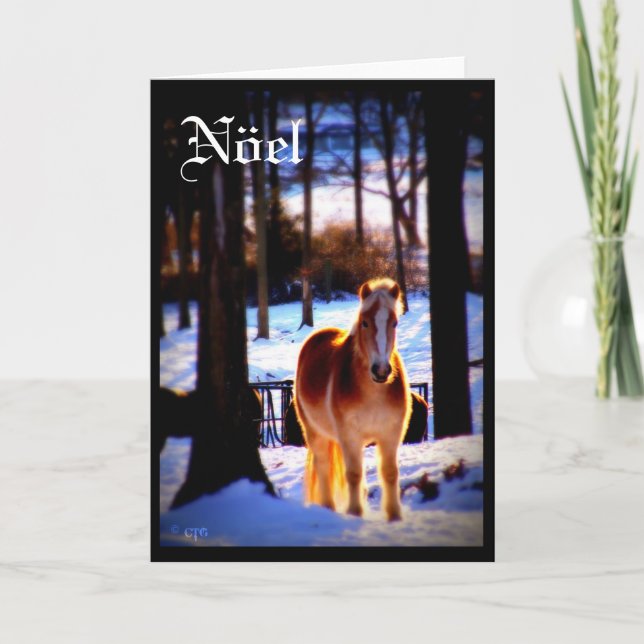 Tarjeta del día de fiesta de Nöel (Anverso)