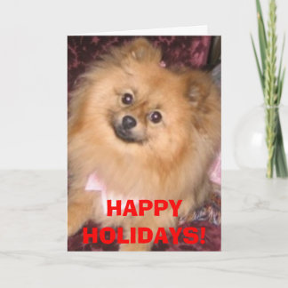 Tarjeta del día de fiesta de Pomeranian