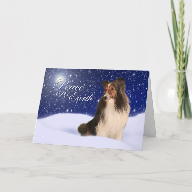 Tarjeta del día de fiesta de Sheltie de la nieve (Anverso)