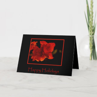 Tarjeta del día de fiesta del Amaryllis