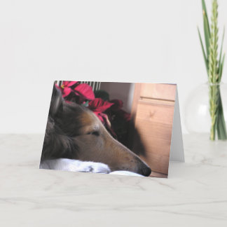 Tarjeta del día de fiesta del collie el dormir