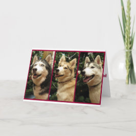 Tarjeta del día de fiesta del navidad del husky