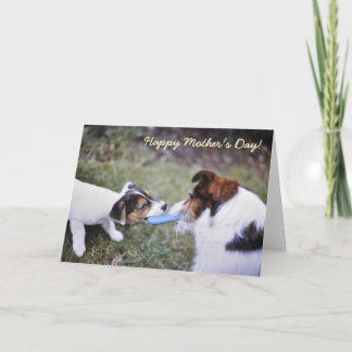 Tarjeta del día de Jack Russell