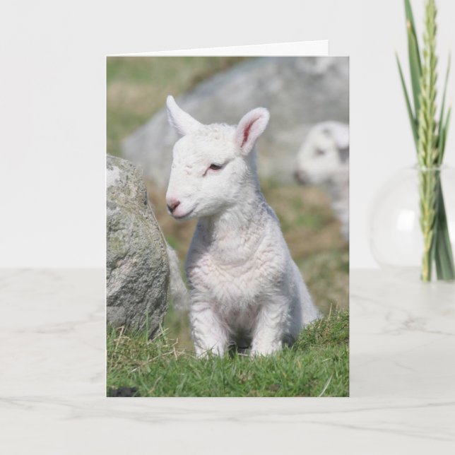 TARJETA DEL DÍA DE LA MADRE (Anverso)