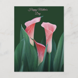 Tarjeta del Día de la Madre