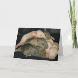 Tarjeta del día de la madre