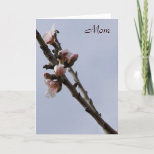 Tarjeta del Día de la Madre
