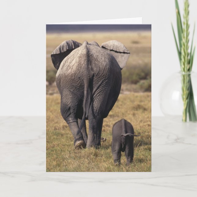 tarjeta del Día de la Madre (Anverso)