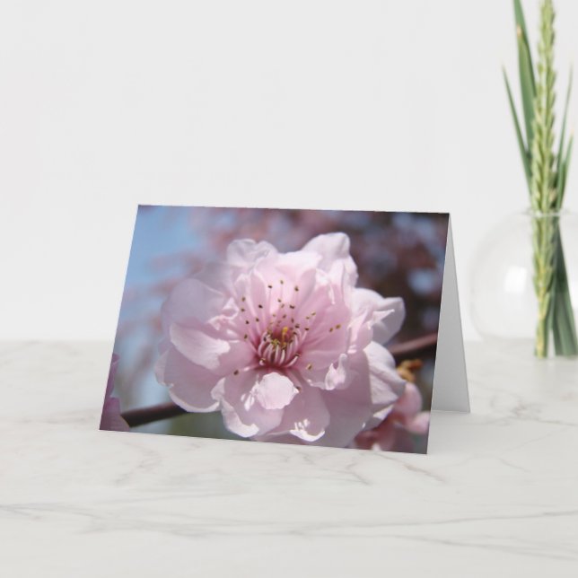 TARJETA DEL DÍA DE LA MADRE 34 Tarjetas de felicit (Anverso)