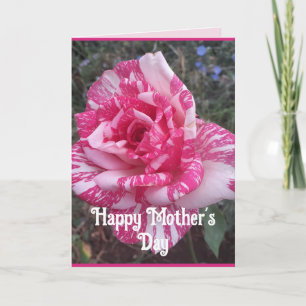 Tarjeta del Día de la Madre con Flores Rosadas Flo
