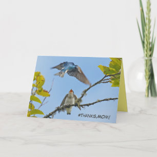Tarjeta del Día de la Madre con golondrinas de árb