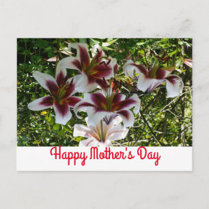 Tarjeta del día de la madre con Lilium Orientalis