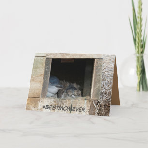 Tarjeta del Día de la Madre con pequeños pingüinos