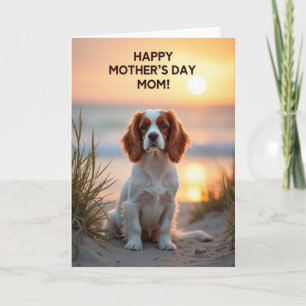 Tarjeta del Día de la Madre con puesta de sol dora