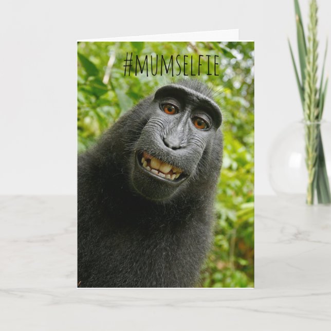 Tarjeta del Día de la Madre con selfie de mono div (Anverso)