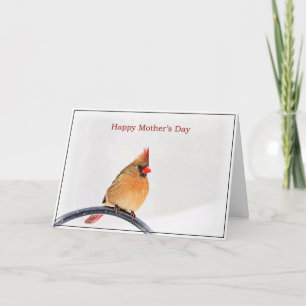 Tarjeta del Día de la Madre con un cardenal
