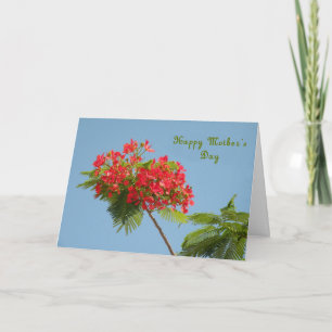 Tarjeta del Día de la Madre con una flor real de l