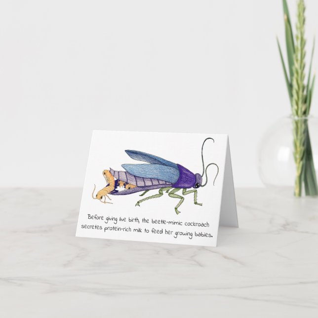 Tarjeta del día de la madre cucaracha (Anverso)