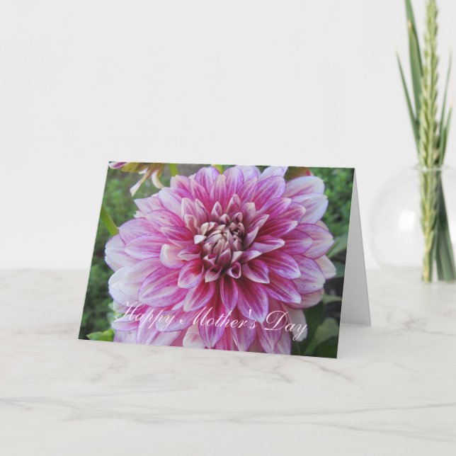 Tarjeta del día de la madre - Dahlia rosa (Anverso)