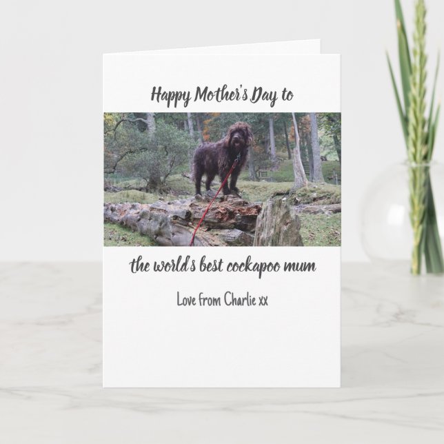 Tarjeta del Día de la Madre de Cockapoo (Anverso)