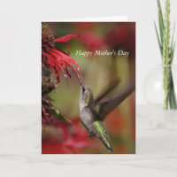 Tarjeta del Día de la Madre de colibrí