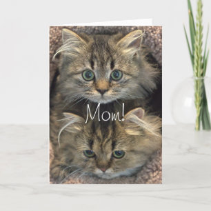 Tarjeta del Día de la Madre de Gatito Persa
