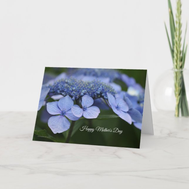 Tarjeta del Día de la Madre de Hydrangea (Anverso)