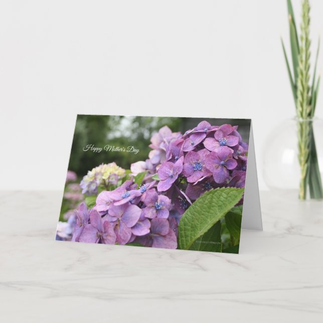 Tarjeta del Día de la Madre de Hydrangea (Anverso)