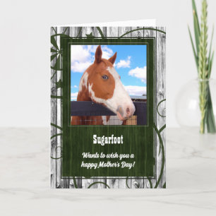 Tarjeta del día de la madre de la foto del caballo