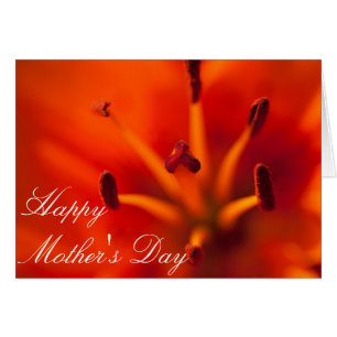 Tarjeta del Día de la Madre de la naranja Lilly