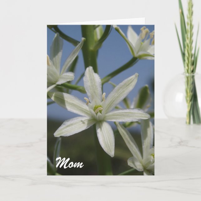 Tarjeta del día de la madre de las flores blancas (Anverso)