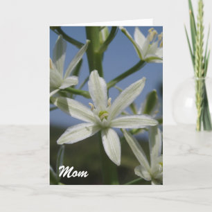 Tarjeta del día de la madre de las flores blancas