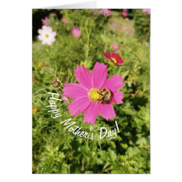 Tarjeta del Día de la Madre de las Flores Cosmos P