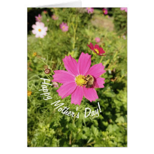 Tarjeta del Día de la Madre de las Flores Cosmos P