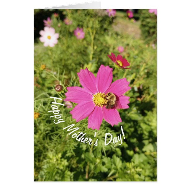 Tarjeta del Día de la Madre de las Flores Cosmos P (Frente)