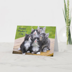 Tarjeta del Día de la Madre de los Cinco Kitties