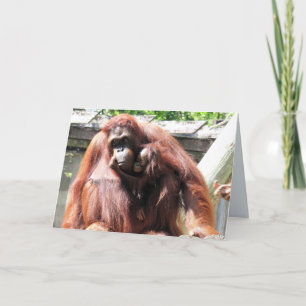 Tarjeta del Día de la Madre de Orangután