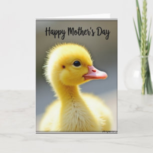 Tarjeta del Día de la Madre de Pollito Esponjoso