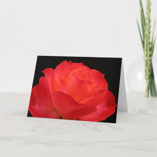 Tarjeta del Día de la Madre de rosa naranja roja v