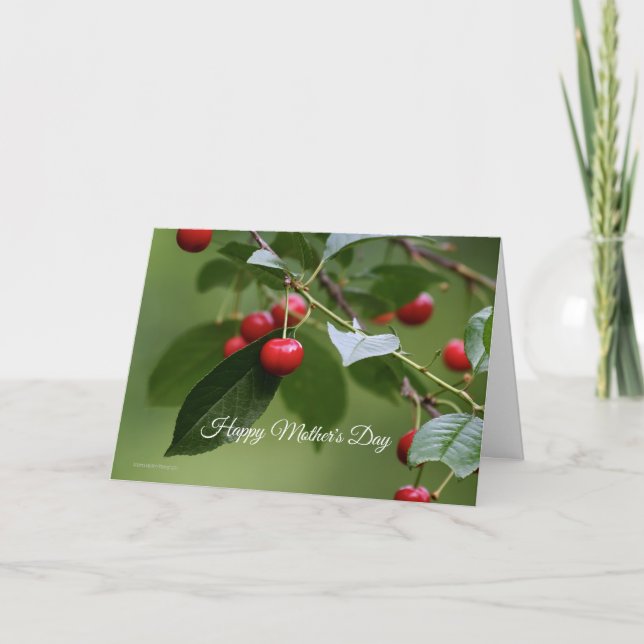 Tarjeta del día de la madre del árbol del cerezo (Anverso)