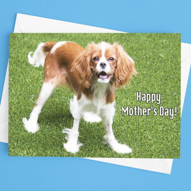 Tarjeta del Día de la Madre del Cavalier King Char (Subido por el creador)