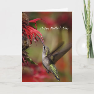 Tarjeta del Día de la Madre del colibrí