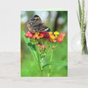 Tarjeta del Día de la Madre del Jardín de Mariposa