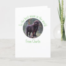 Tarjeta del día de la madre del perro