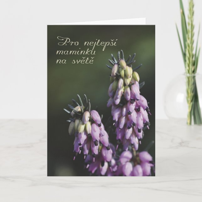 Tarjeta del Día de la Madre en checo (Anverso)