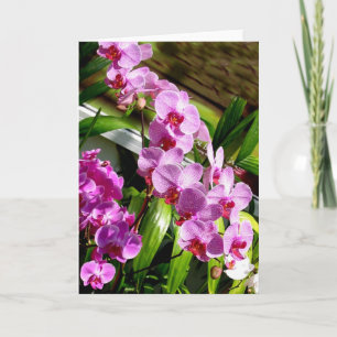 tarjeta del día de la madre feliz