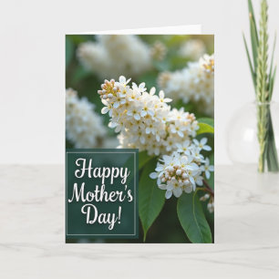Tarjeta del Día de la Madre Flor Blanca
