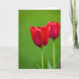 Tarjeta del Día de la Madre Flor Roja de Terciopel