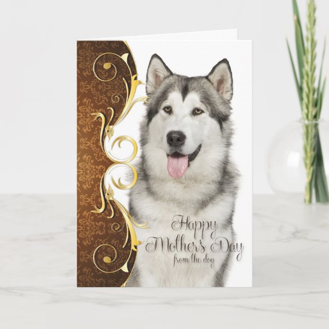 Tarjeta del Día de la Madre Husky (Anverso)